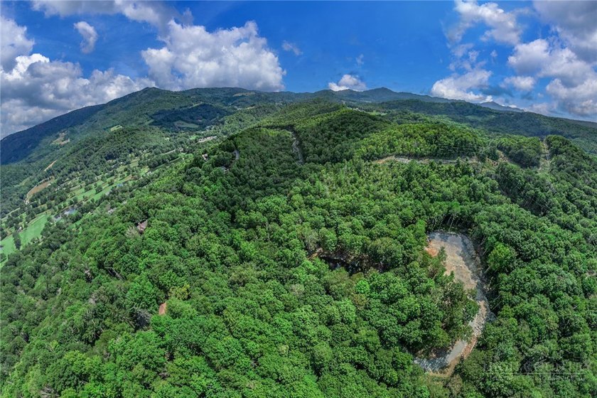 This is a one of a kind property situated in the Elk River Club - photo 37