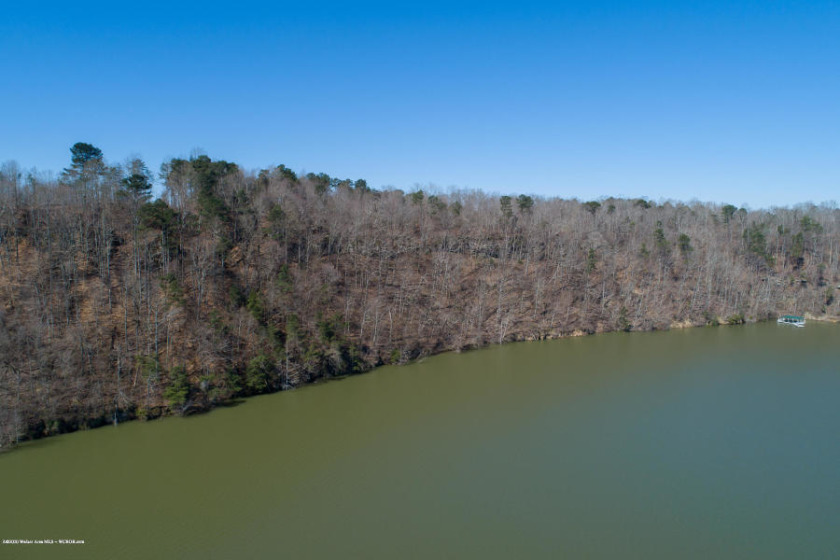 County Road 338, Crane Hill, AL 35053, 737226