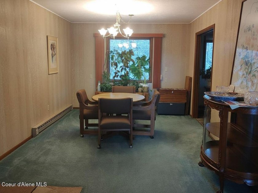 View property in the heart of Coolin! More trees can come down - photo 15