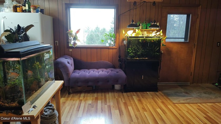View property in the heart of Coolin! More trees can come down - photo 27