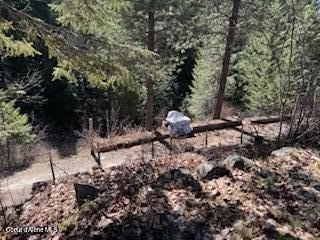 View property in the heart of Coolin! More trees can come down - photo 36