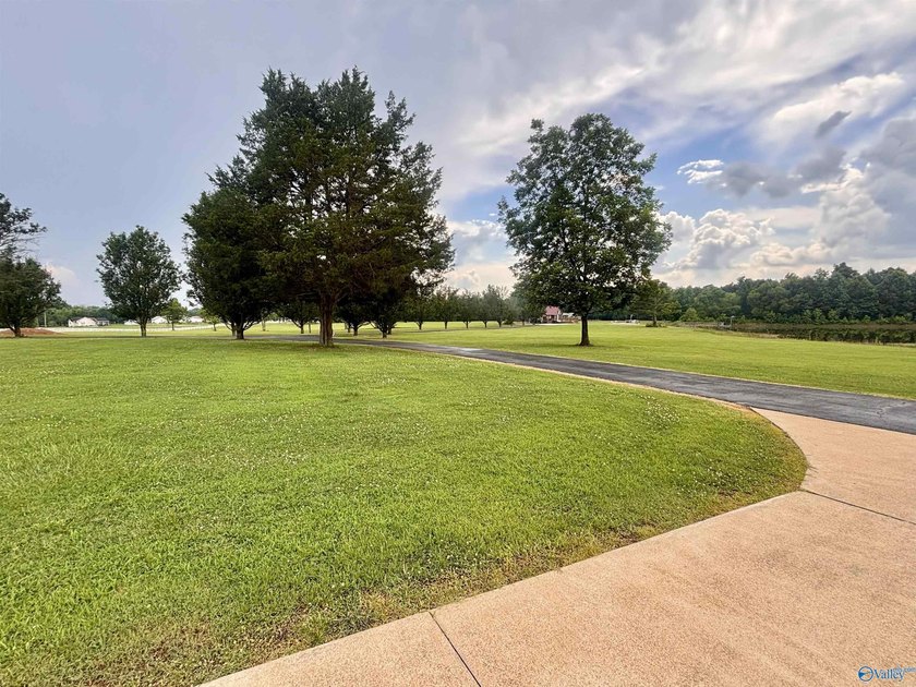 OPEN HOUSE SUN 7/12 2-4Refreshment Magnificent Contemporary 4+BR - photo 6