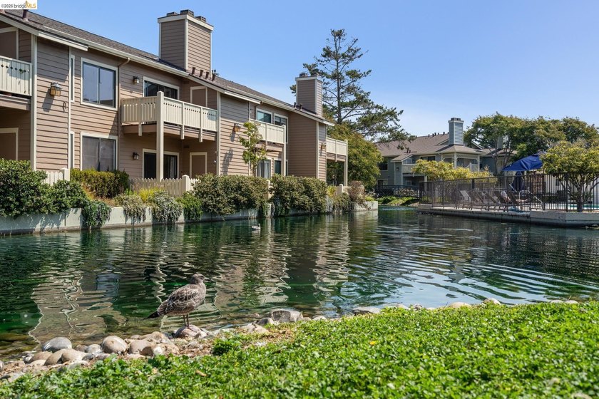 View, view, and more views! Welcome to 194 Lakeshore Ct, a - photo 33