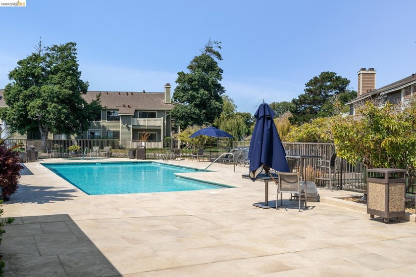 View, view, and more views! Welcome to 194 Lakeshore Ct, a - photo 43