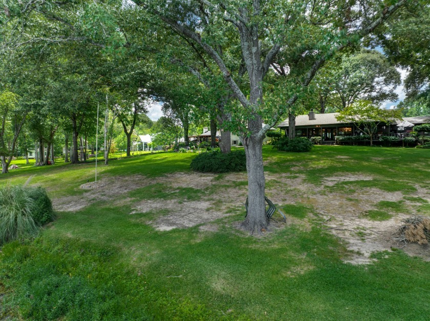 Lake Palestine Waterfront Retreat | 200' of Shoreline &amp; Boathouse - photo 36