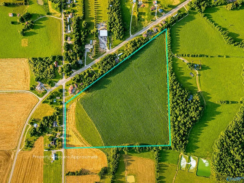 Build the life you've been dreaming of on this beautiful 37-acre - photo 6