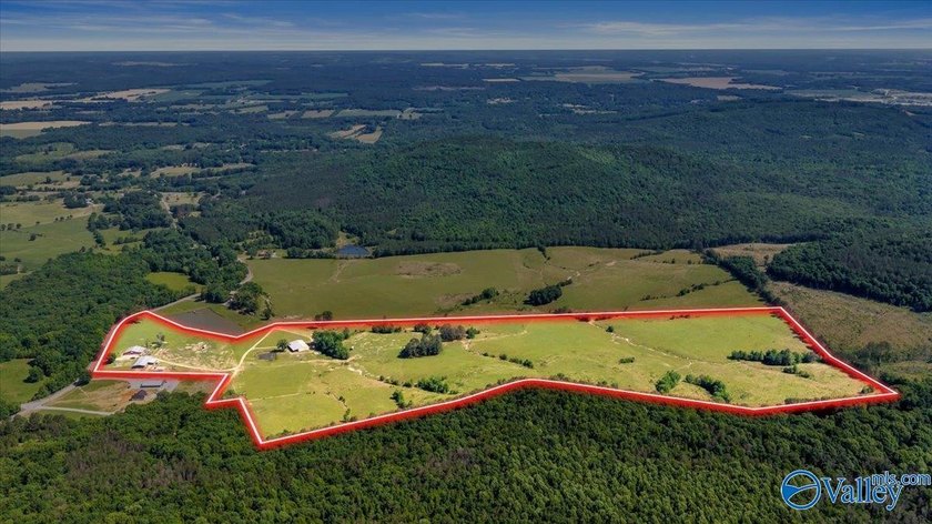 Exceptional 89+/- acre farm in Cherokee, AL featuring - photo 3