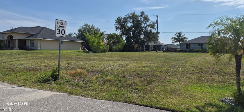 Great opportunity to own your own lot in the city of Cape Coral - photo 2