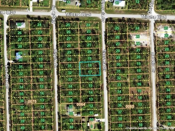 Potentially development area in Punta Gorda. big builders are - photo 3