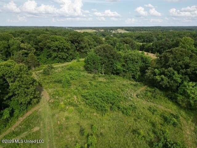 Welcome to this beautiful 52-acre property located in Slayden - photo 11