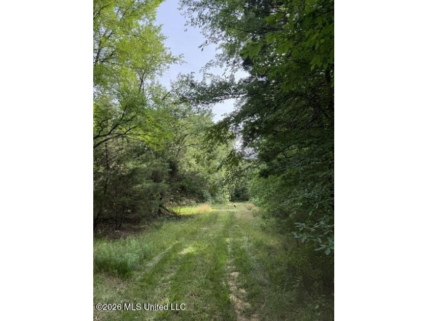 Welcome to this beautiful 52-acre property located in Slayden - photo 13
