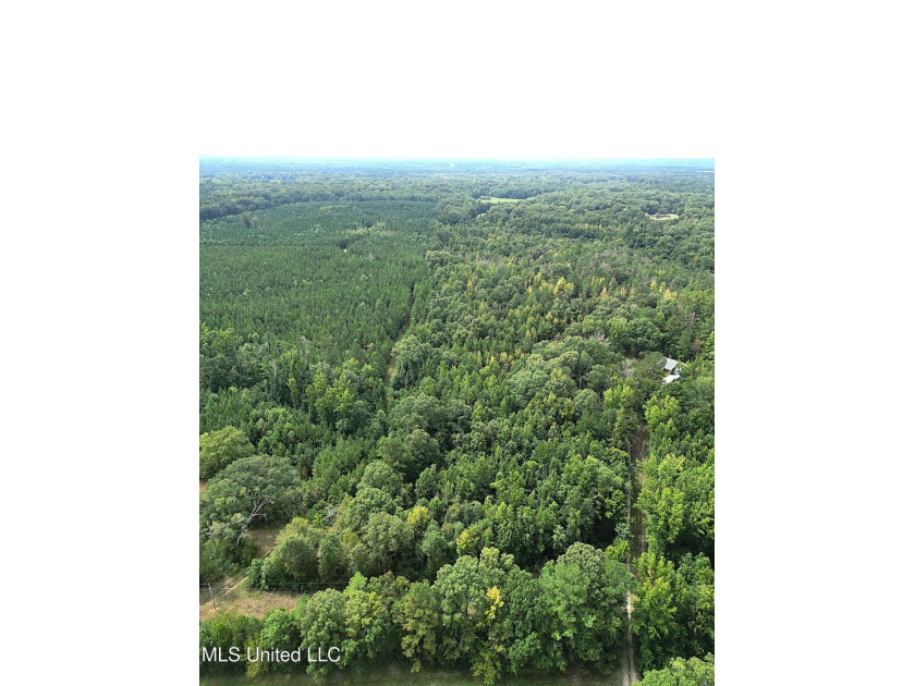 Welcome to your personal haven! This expansive 69.8-acre - photo 4