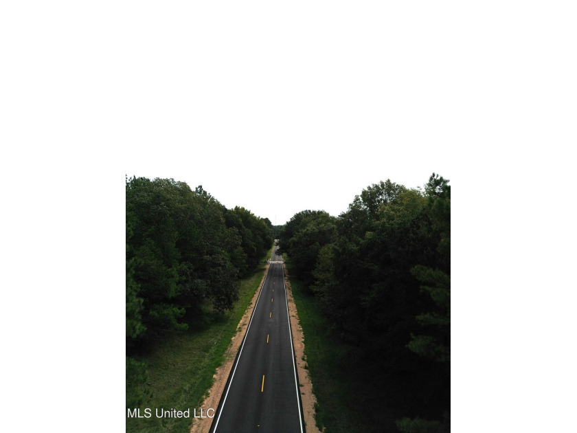 Welcome to your personal haven! This expansive 69.8-acre - photo 5