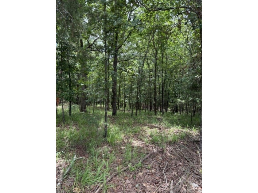 Wooded 5.39+/- acres ready for your dream home in a quiet - photo 2