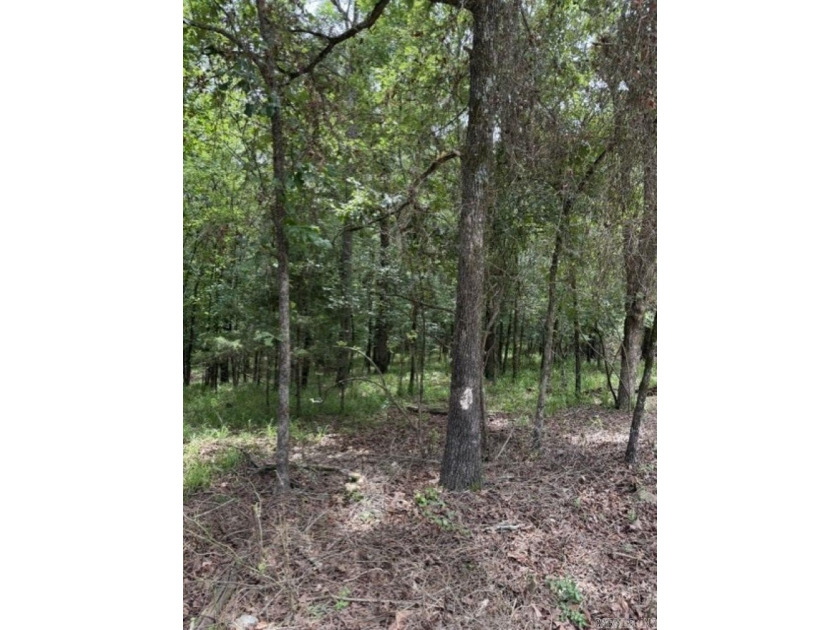 Wooded 5.39+/- acres ready for your dream home in a quiet - photo 3