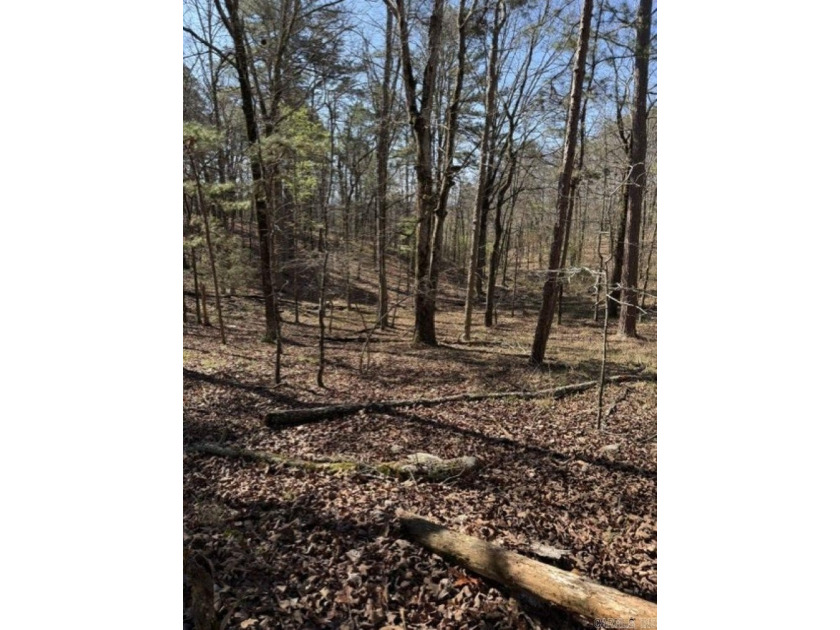 Wooded 5.39+/- acres ready for your dream home in a quiet - photo 5