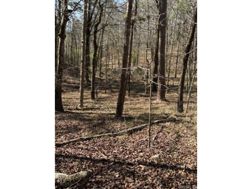 Wooded 5.39+/- acres ready for your dream home in a quiet - photo 6