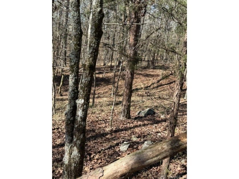 Wooded 5.39+/- acres ready for your dream home in a quiet - photo 7