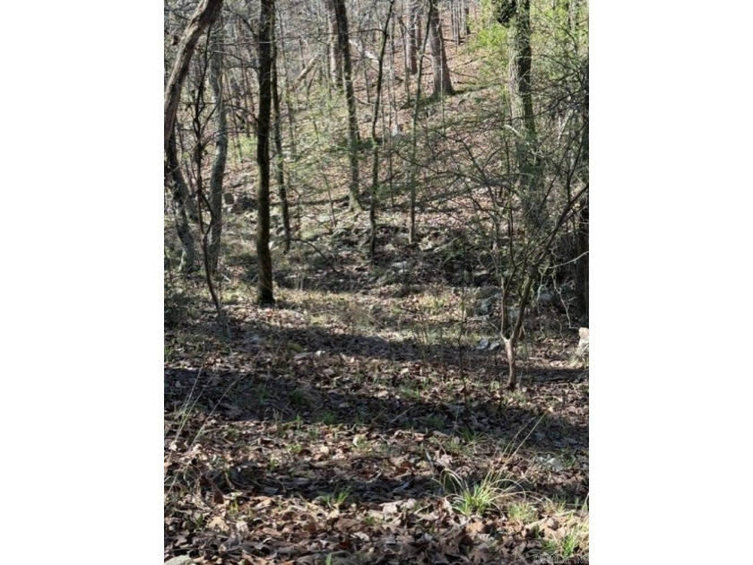 Wooded 5.39+/- acres ready for your dream home in a quiet - photo 9