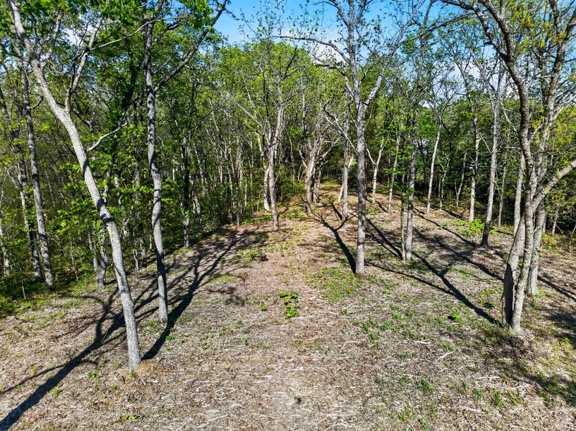 5 Acres Right Off Hwy MM | High Drive Frontage | Build-Ready | - photo 10