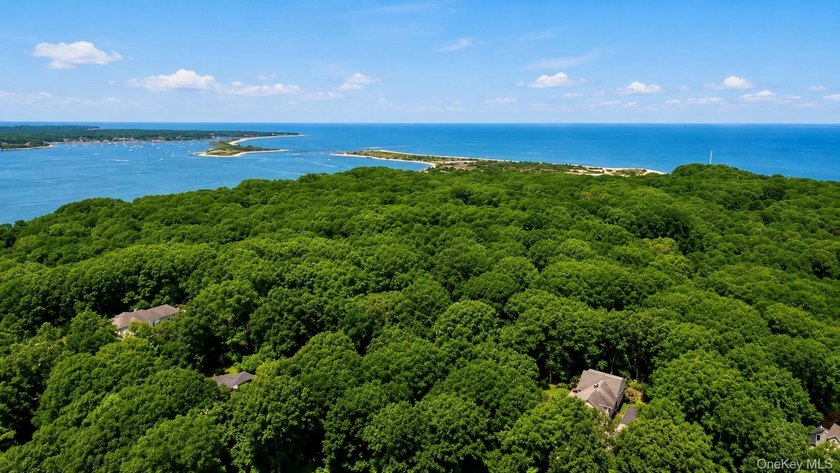MAJOR PRICE IMPROVEMENT! Welcome to this beautifully secluded - photo 5