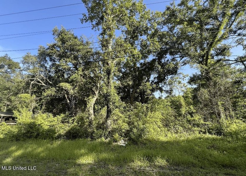 SPORTSMAN'S PARADISE! Spacious 0.53-acre lot in Ocean Springs - photo 3
