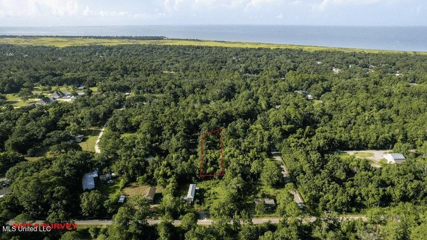 SPORTSMAN'S PARADISE! Spacious 0.53-acre lot in Ocean Springs - photo 5