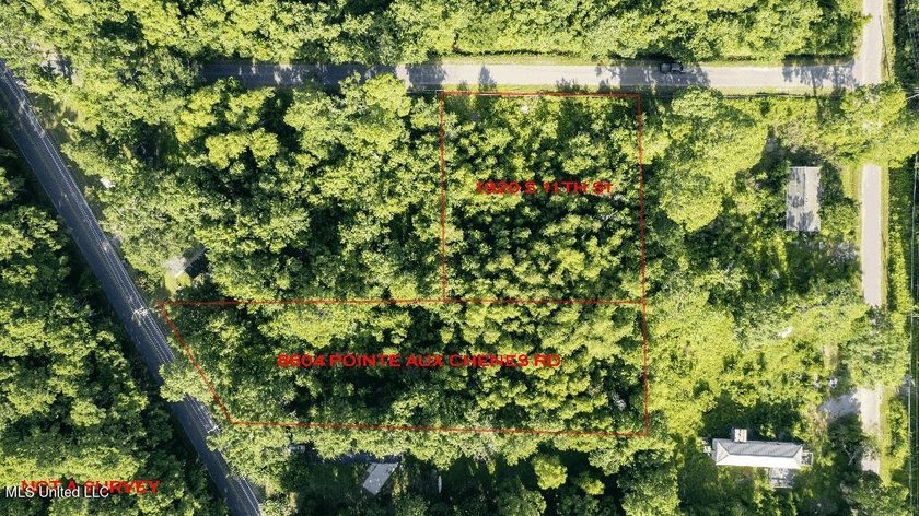 SPORTSMAN'S PARADISE! Spacious 0.53-acre lot in Ocean Springs - photo 6