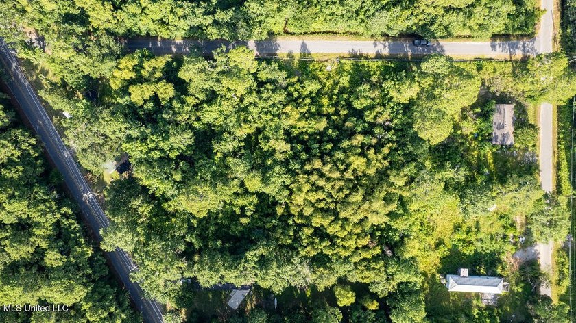 COASTAL LIVING MADE EASY! Build your vision on this 0.52-acre - photo 2