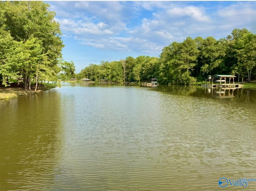 Beautiful building lot with Weiss Lake access common lot with - photo 4
