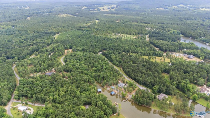 Beautiful building lot with Weiss Lake access common lot with - photo 6