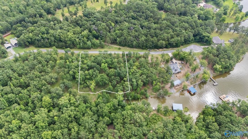 Beautiful building lot with Weiss Lake access common lot with - photo 9