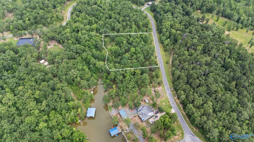 Beautiful building lot with Weiss Lake access common lot with - photo 10