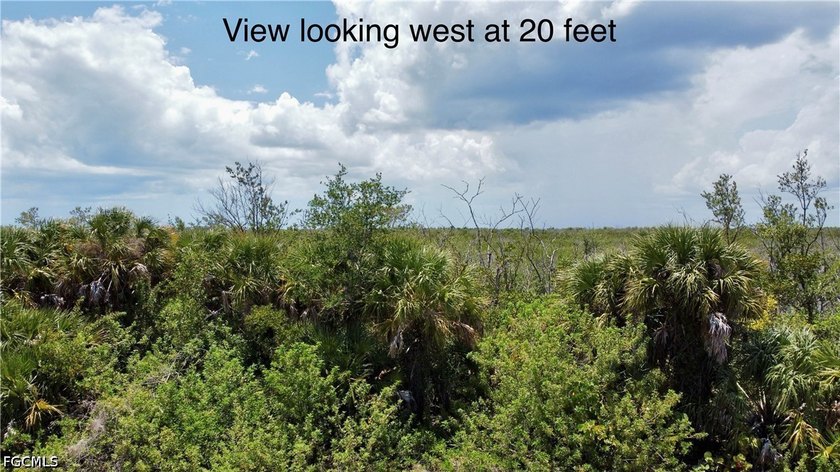 Rare opportunity to own a versatile homesite in the desirable - photo 5