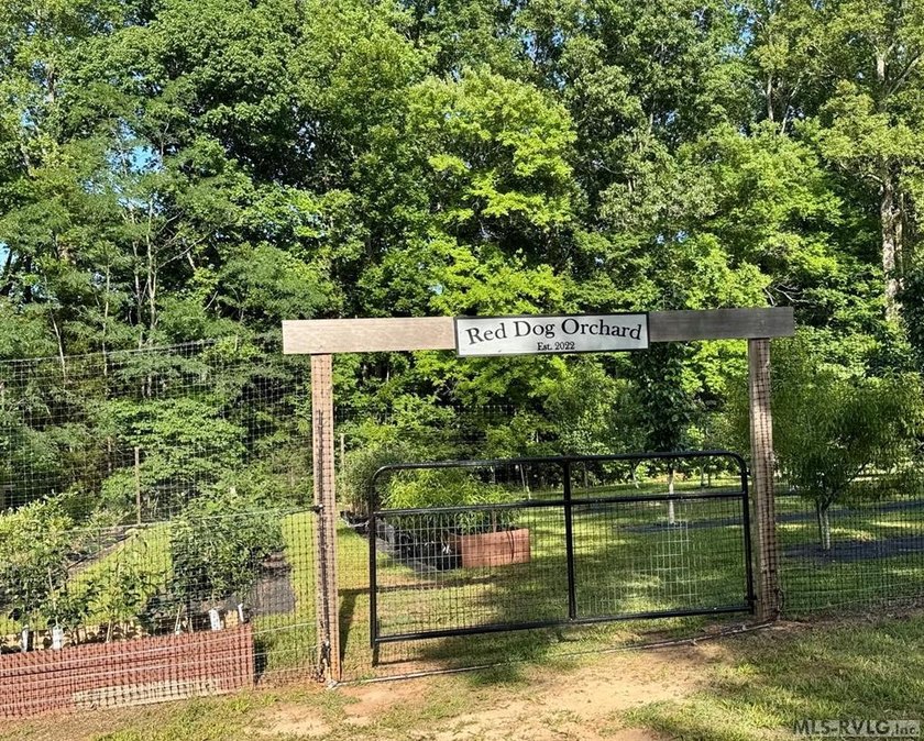 Beautiful Private Point Lake Retreat on the Roanoke River - photo 41