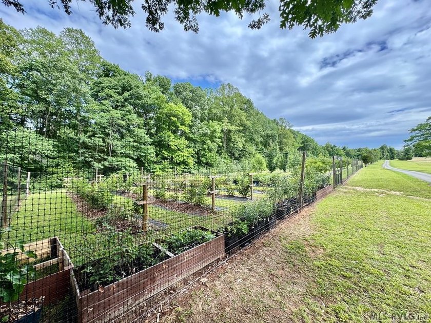 Beautiful Private Point Lake Retreat on the Roanoke River - photo 42