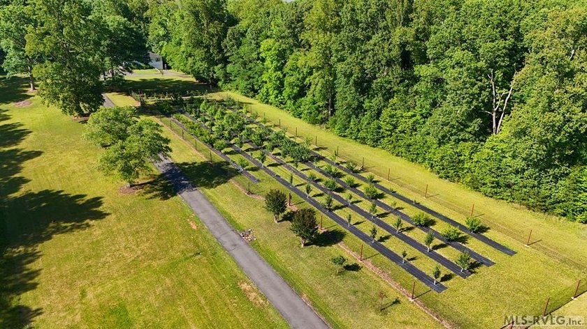Beautiful Private Point Lake Retreat on the Roanoke River - photo 44