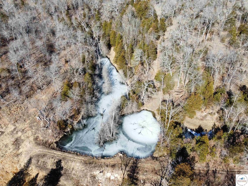 Terrific 119.5-acre m/l tract of land with tons of wildlife and - photo 11