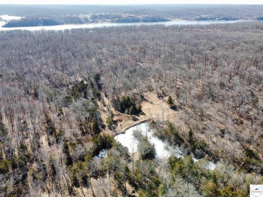 Terrific 119.5-acre m/l tract of land with tons of wildlife and - photo 12