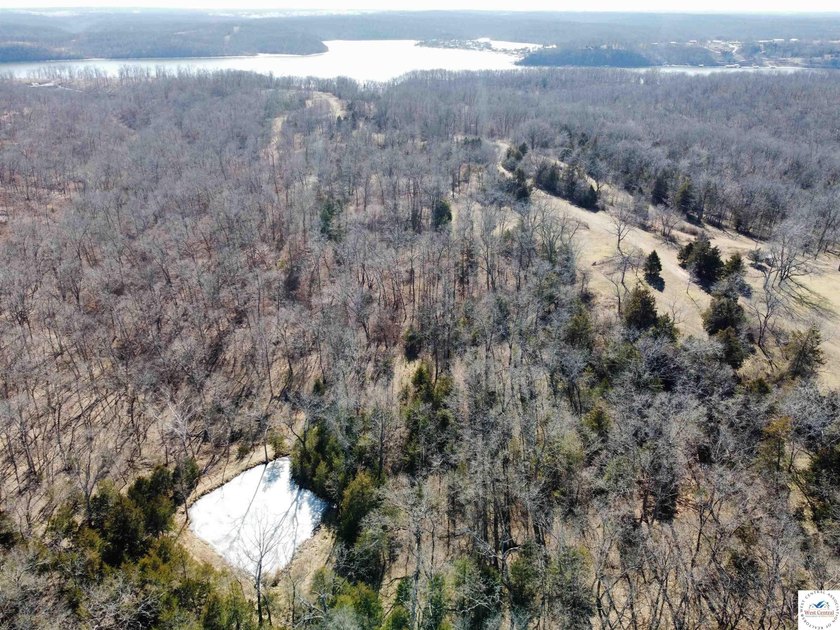 Terrific 119.5-acre m/l tract of land with tons of wildlife and - photo 14