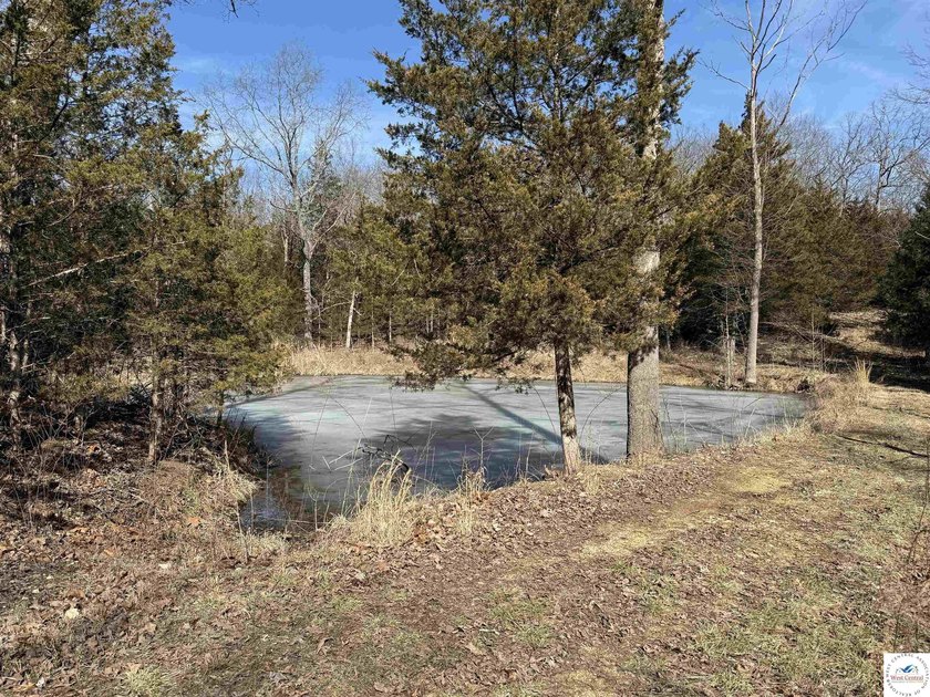 Terrific 119.5-acre m/l tract of land with tons of wildlife and - photo 18
