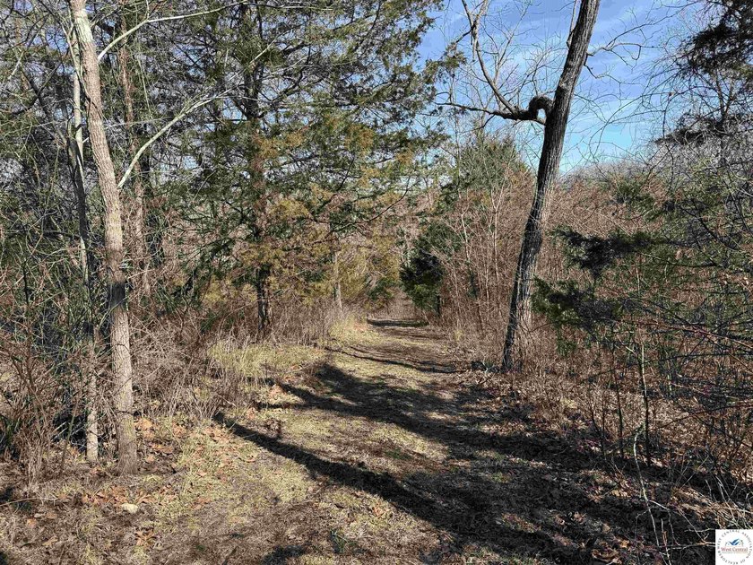 Terrific 119.5-acre m/l tract of land with tons of wildlife and - photo 19