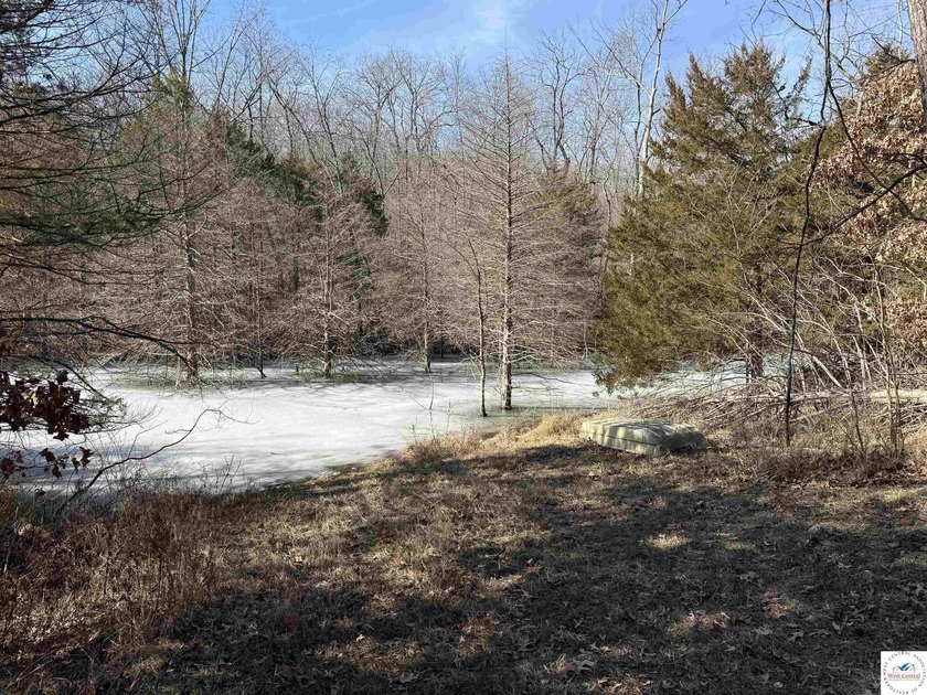 Terrific 119.5-acre m/l tract of land with tons of wildlife and - photo 20