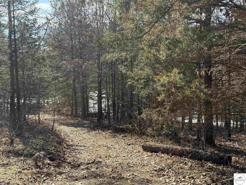 Terrific 119.5-acre m/l tract of land with tons of wildlife and - photo 22