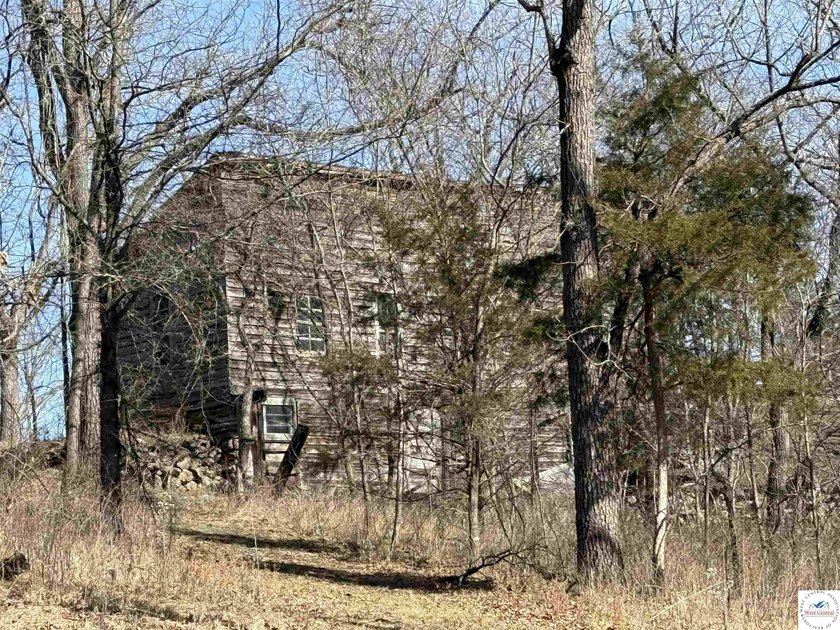 Terrific 119.5-acre m/l tract of land with tons of wildlife and - photo 23