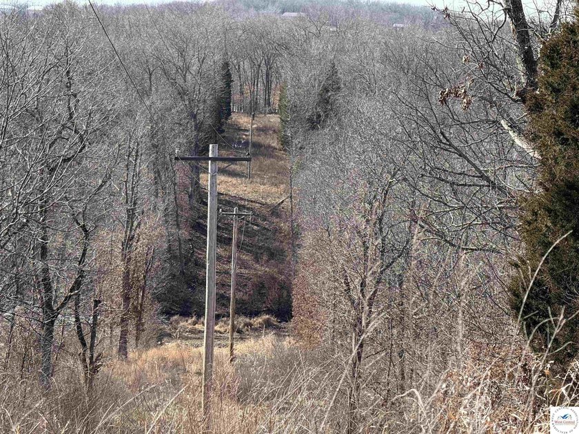 Terrific 119.5-acre m/l tract of land with tons of wildlife and - photo 25