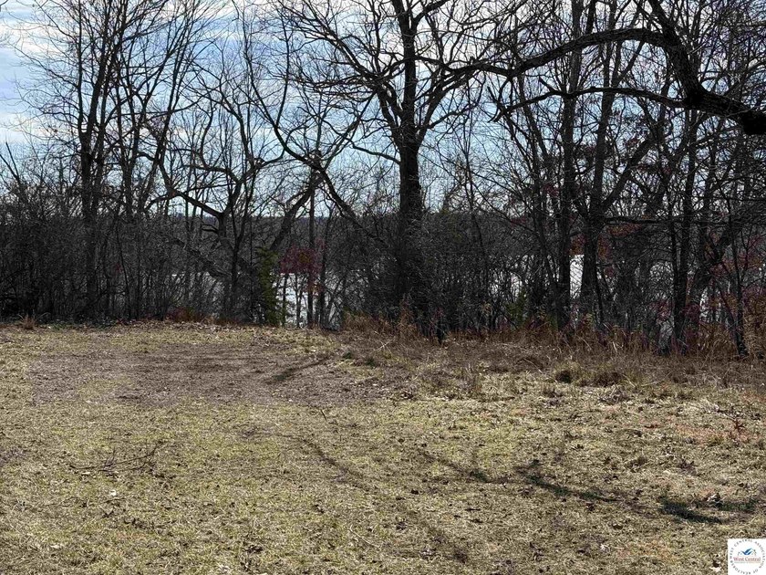 Terrific 119.5-acre m/l tract of land with tons of wildlife and - photo 26