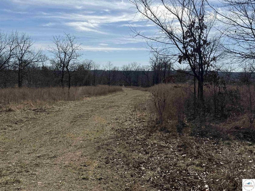 Terrific 119.5-acre m/l tract of land with tons of wildlife and - photo 27