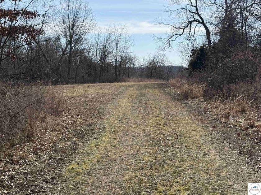 Terrific 119.5-acre m/l tract of land with tons of wildlife and - photo 29