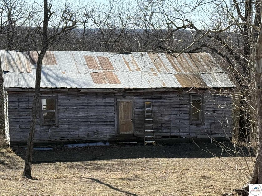 Terrific 119.5-acre m/l tract of land with tons of wildlife and - photo 42